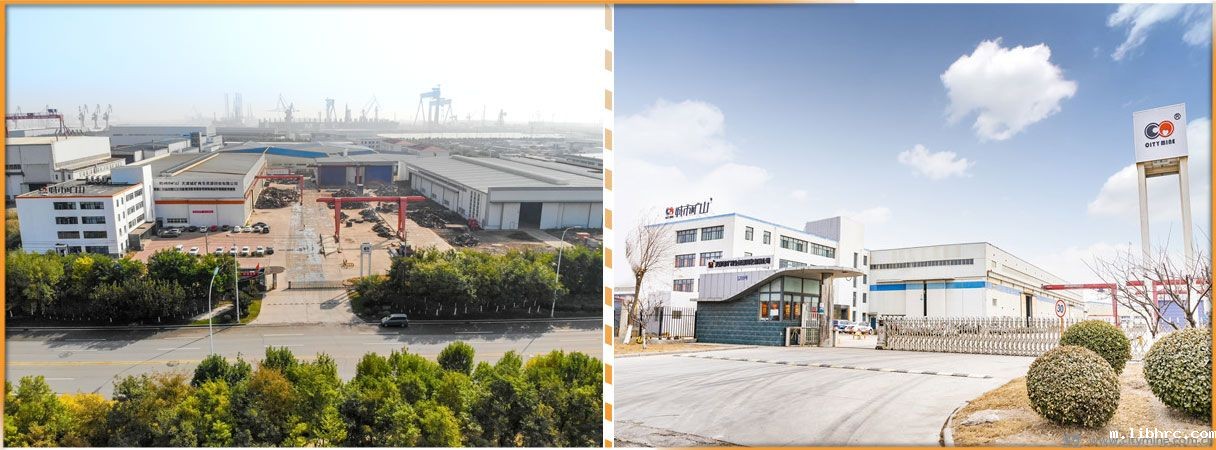 米兰体育app链接失败临港基地厂貌